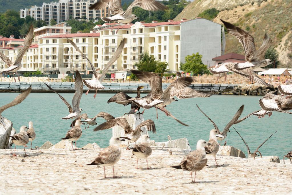 Ahilea Hotel - Free Pool Access Balchik Exterior photo
